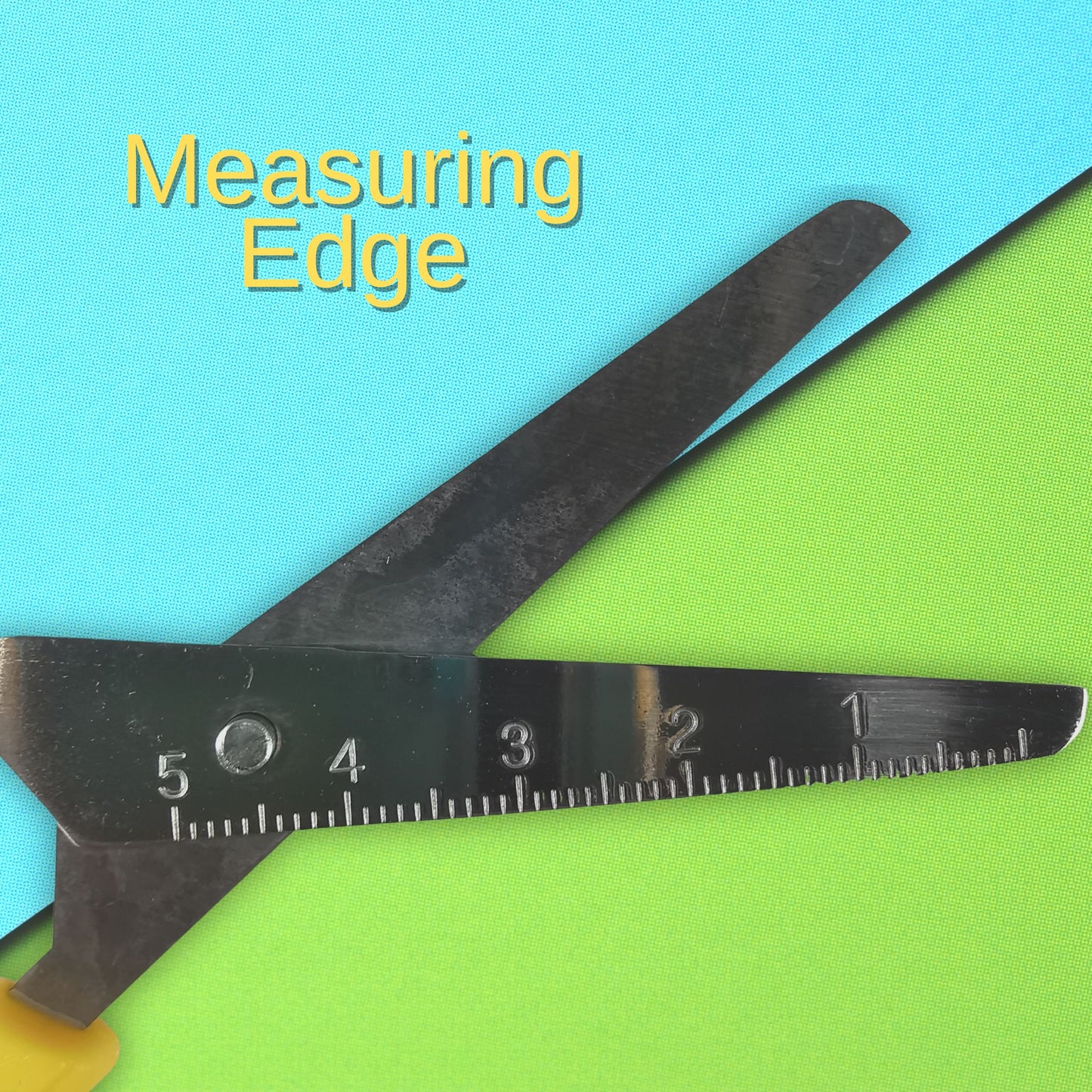 Scissors With Measuring Edge