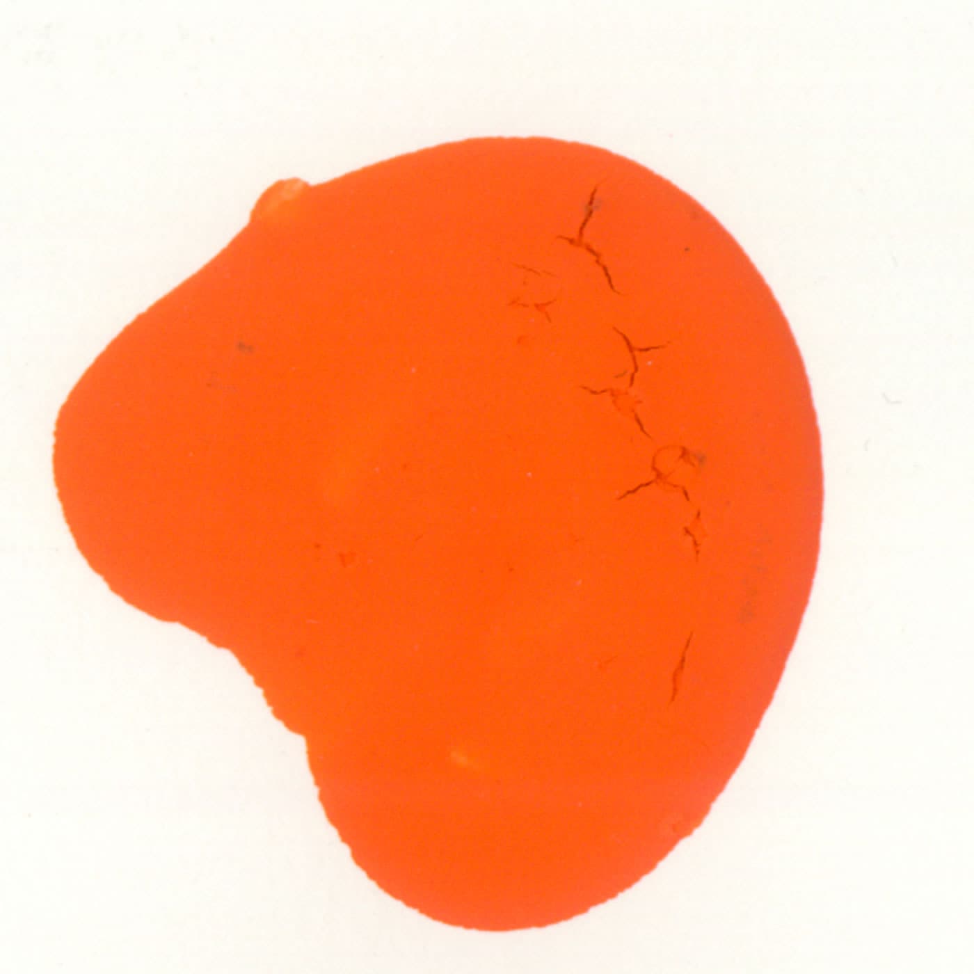 Scola Water-Based Printing Ink 300ml Choose Colour