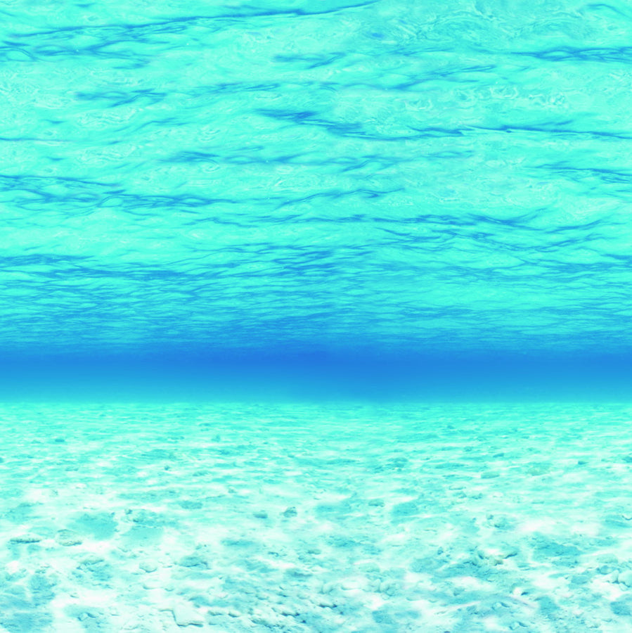 Fadeless Design Roll 1218mm x 3.6m - Under the Sea