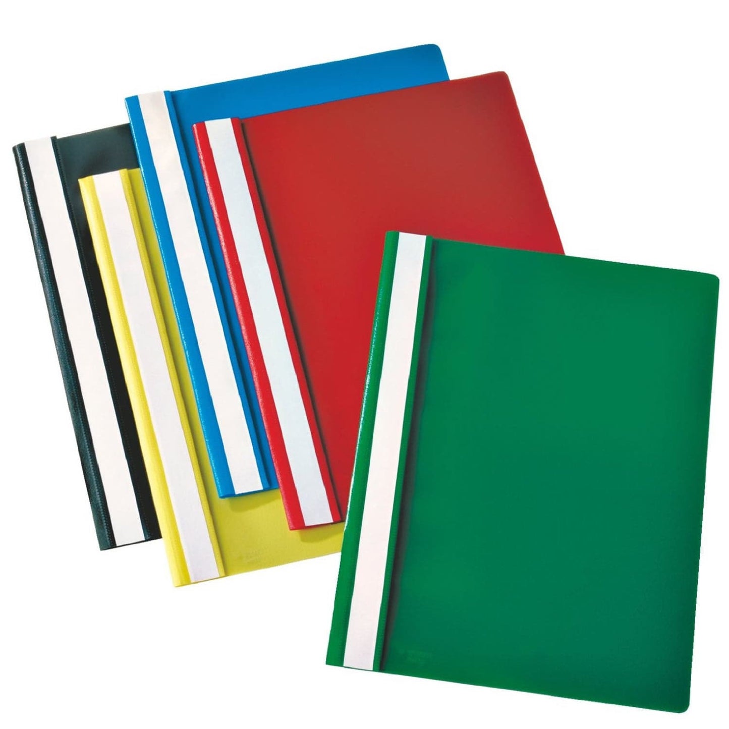 Report Files Pack of 6