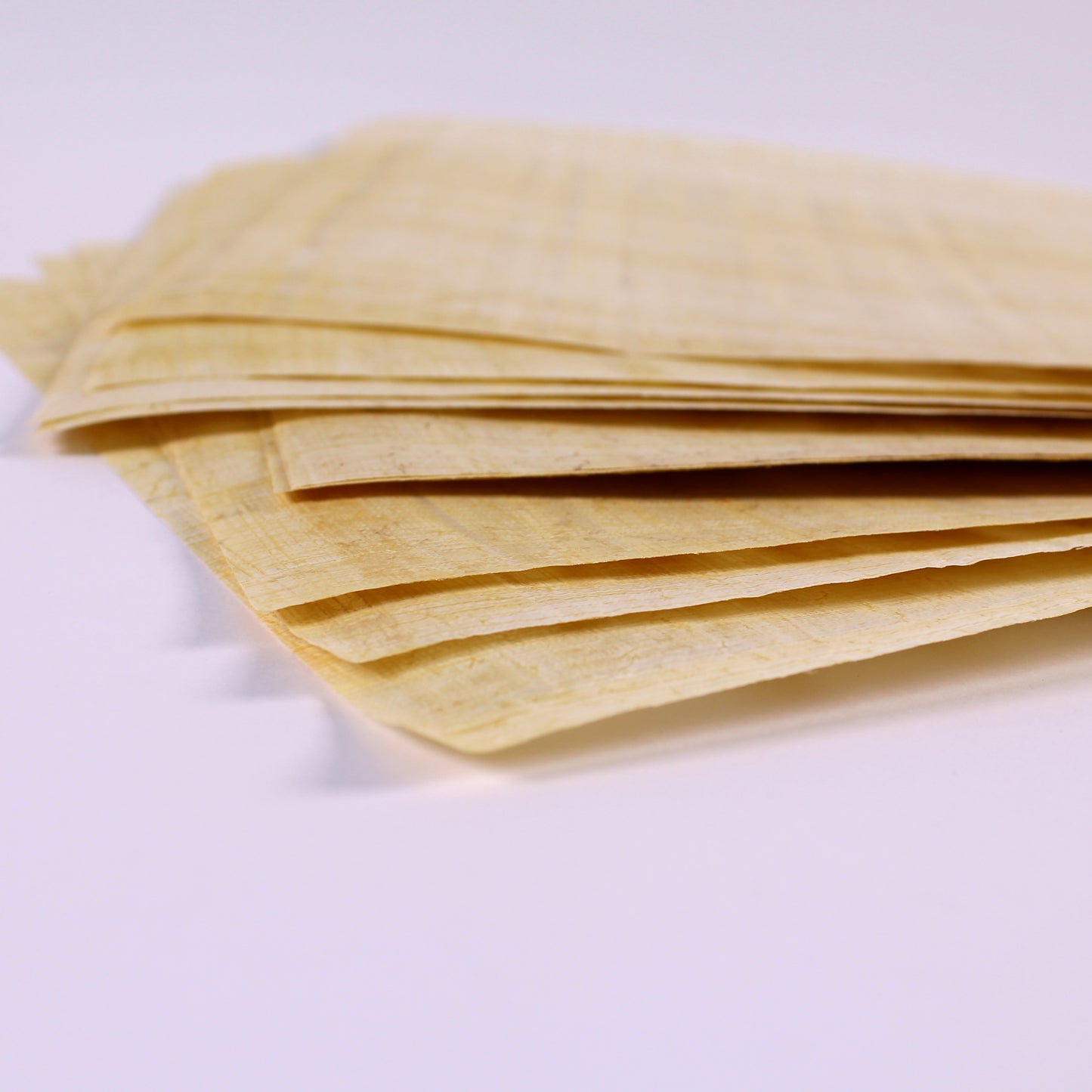 egyptian papyrus