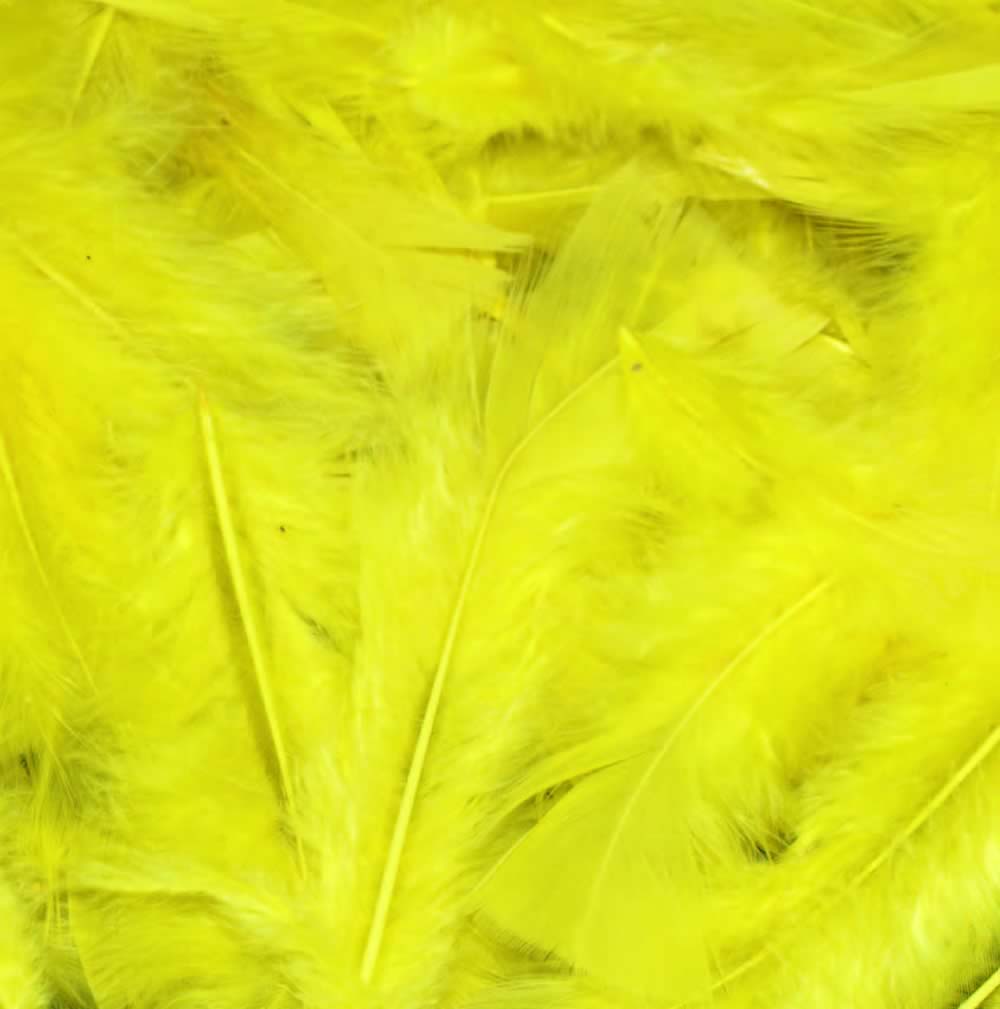 Yellow craft feathers