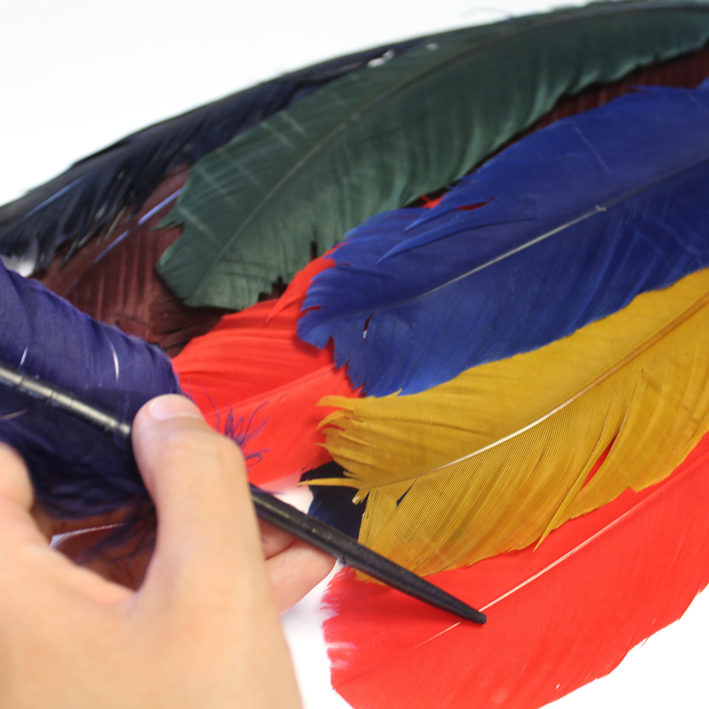 natural quill feathers