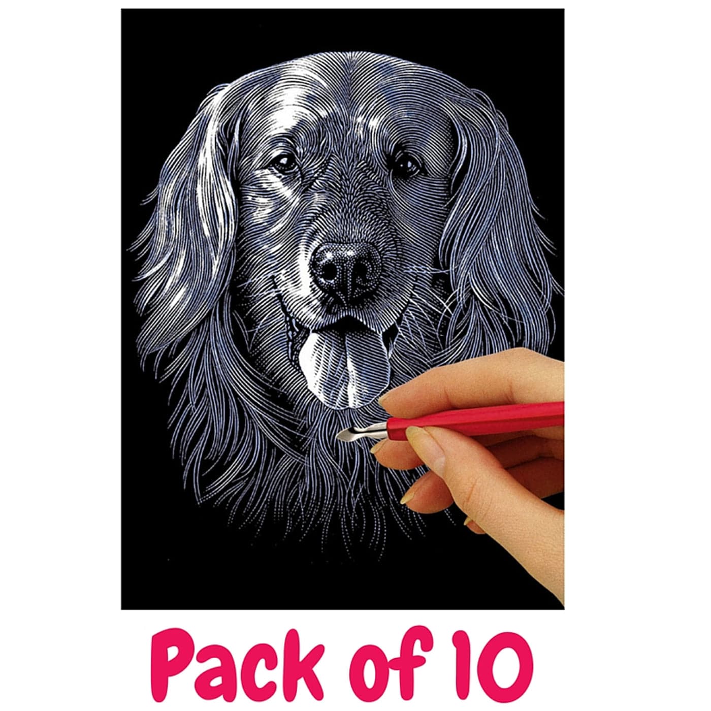 Silver Scraperfoil 229mm x 152mm, Pack of 10