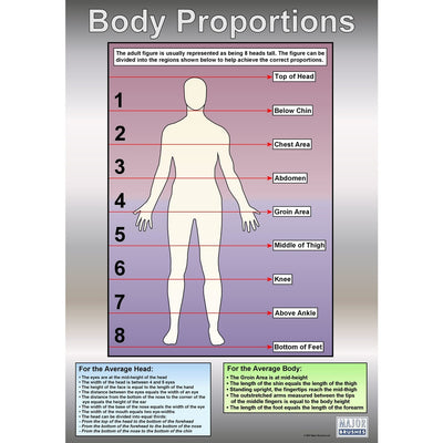 body wall chart