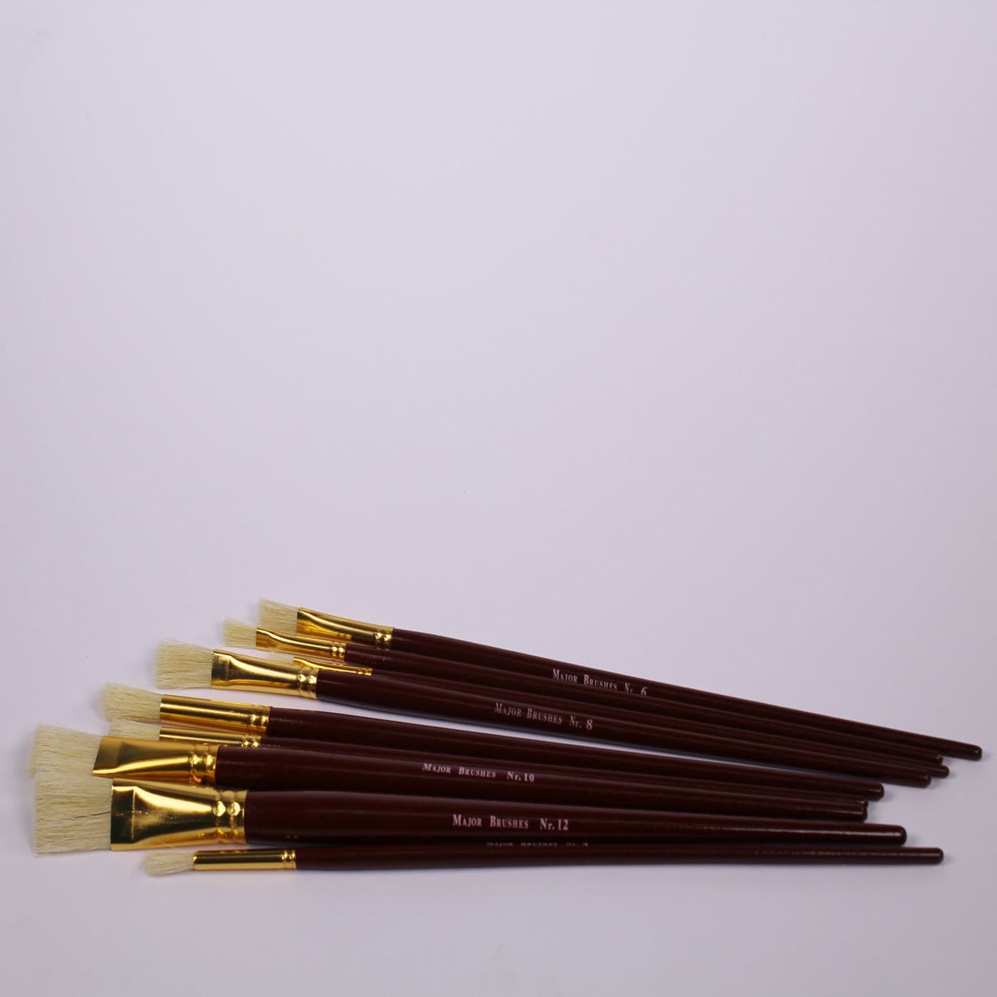 Set of 10 long handled paint brushes