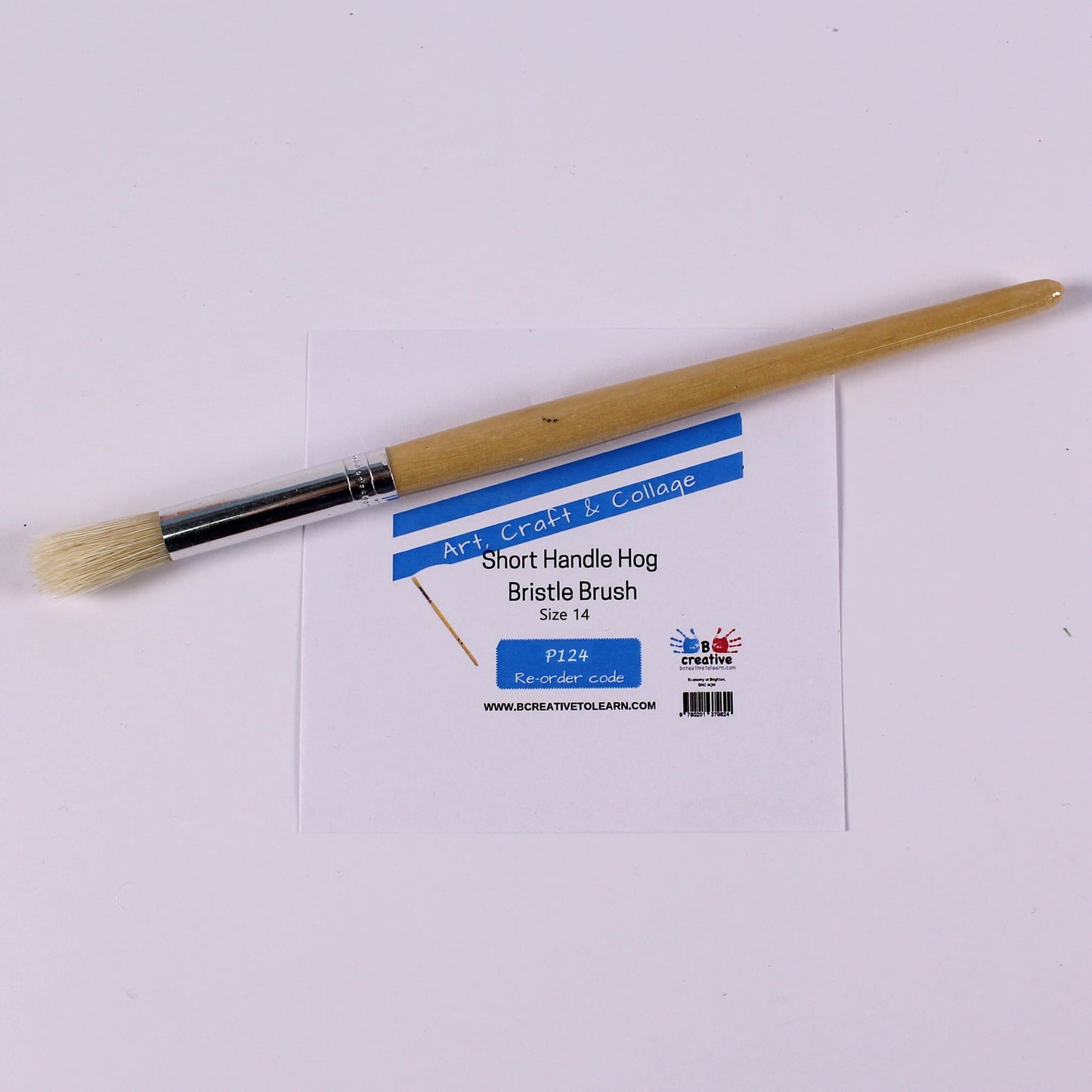 Short Handle Round Tip Hog Bristle Brush in Various Sizes