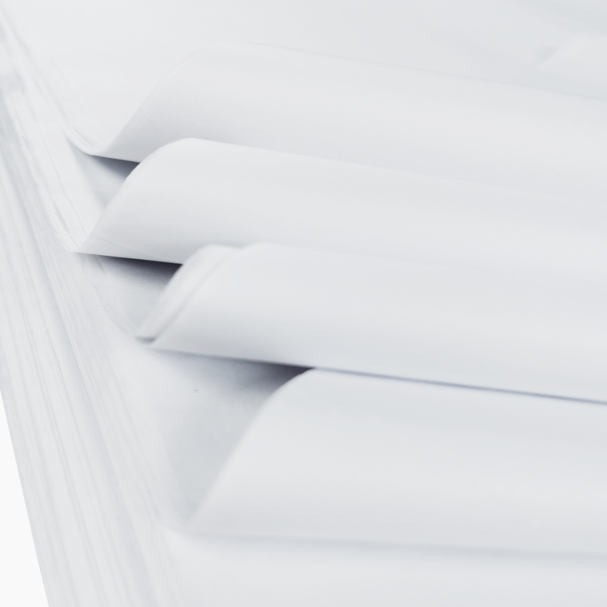 Tissue Paper Sheets 50cm x 75cm 17gsm White