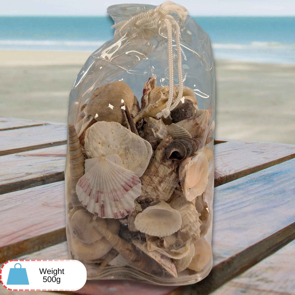 Assorted Natural Sea Shells – 500g Craft Bag with Drawstring