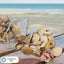 Assorted Natural Sea Shells – 500g Craft Bag with Drawstring