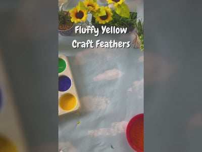 Yellow Craft Feathers
