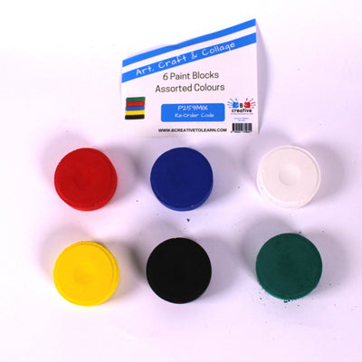Assorted Paint Blocks