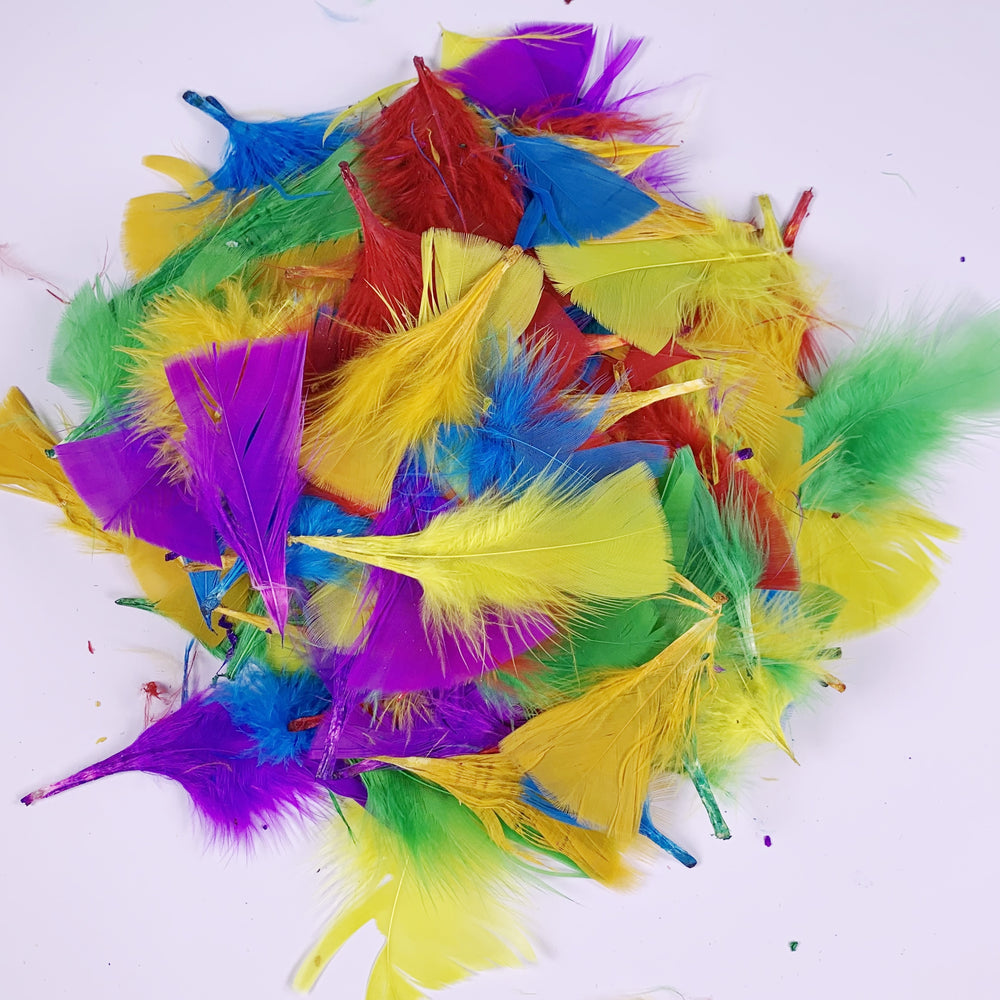 Coloured Feathers 50g Pack