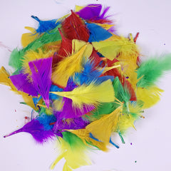 Coloured Feathers 50g Pack