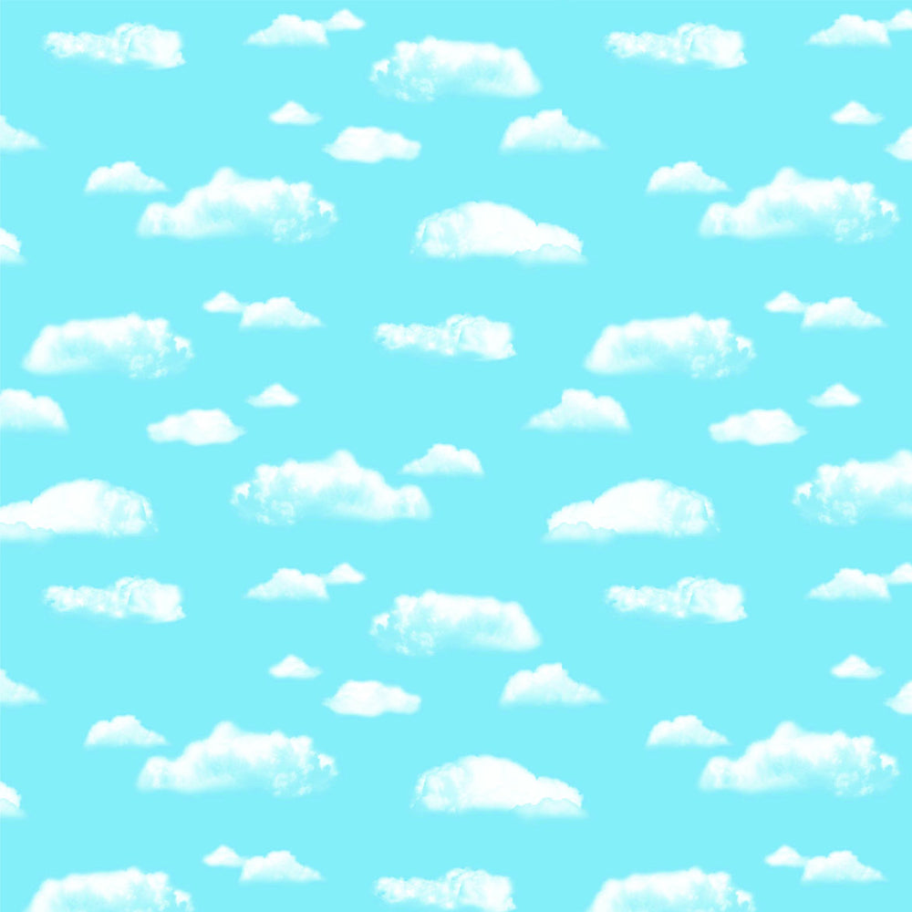 Fadeless Design Roll 1218mm x 3.6m  - Clouds
