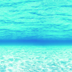 Fadeless Design Roll 1218mm x 3.6m  - Under the Sea