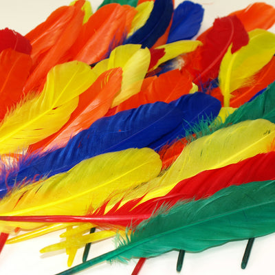 duck quill feathers