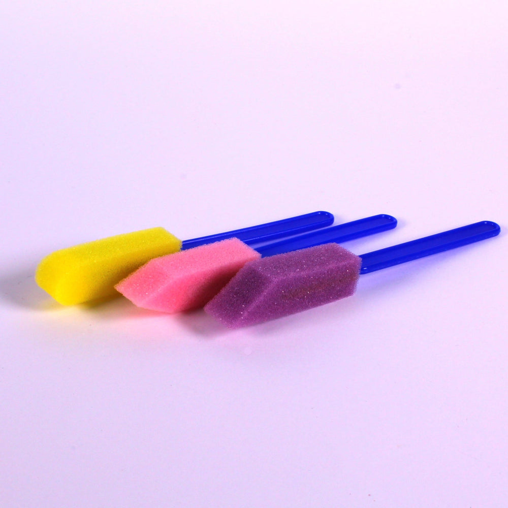 Thin Foam Paint Brushes