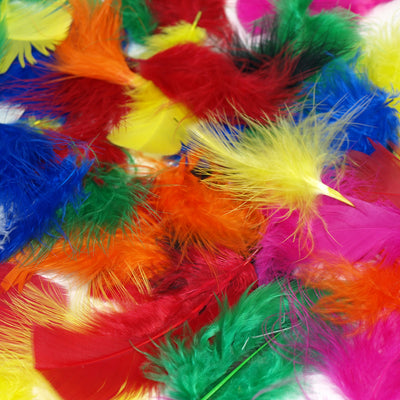 bright feathers