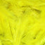 Yellow craft feathers
