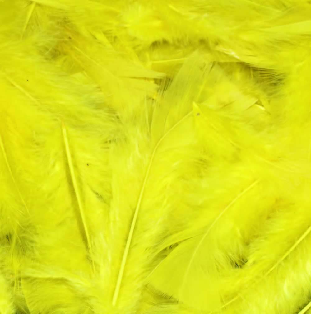 Yellow Craft Feathers
