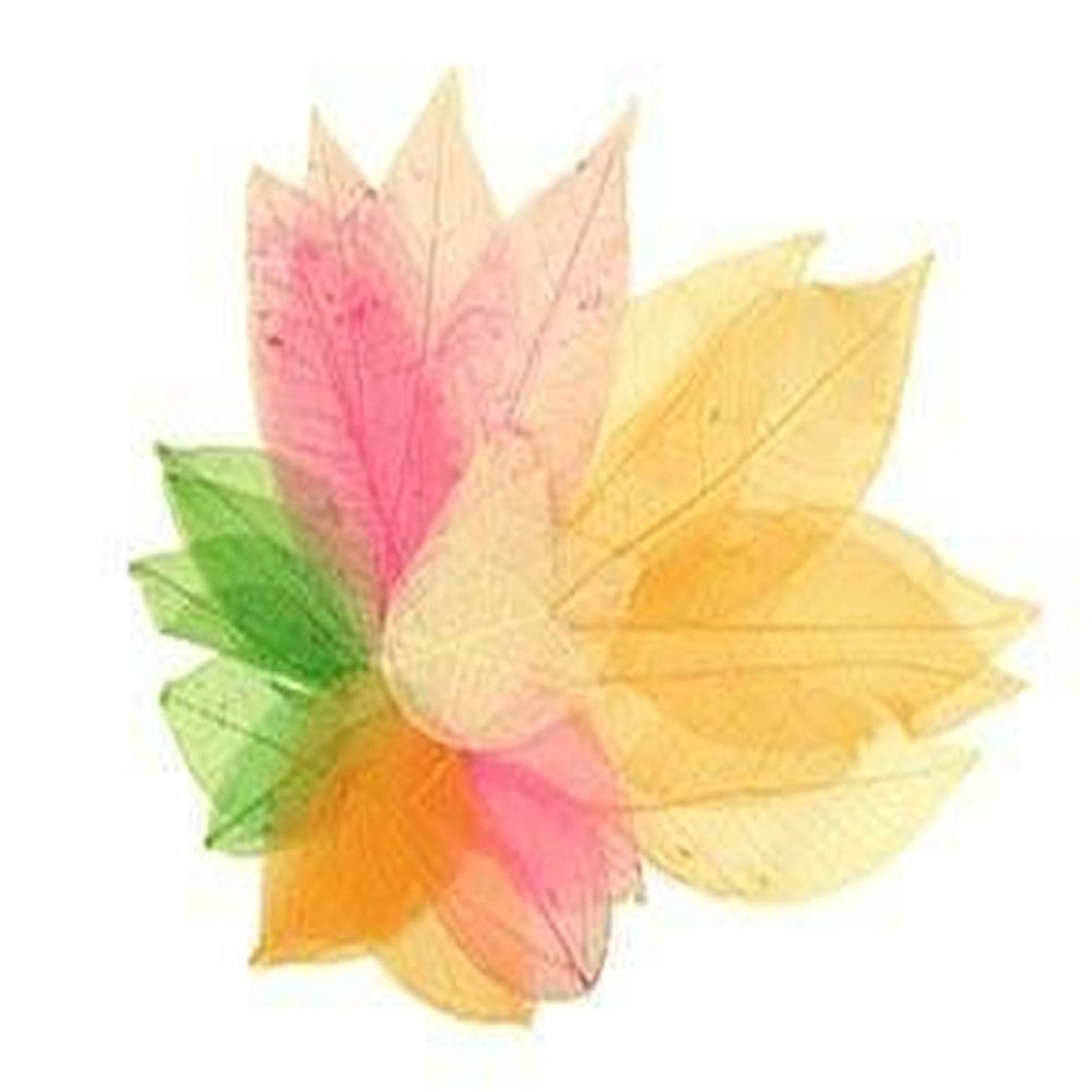 Skeleton Leaves Assorted Bright Colours