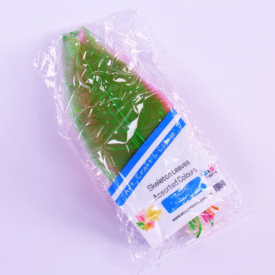 bright coloured skeleton leaves