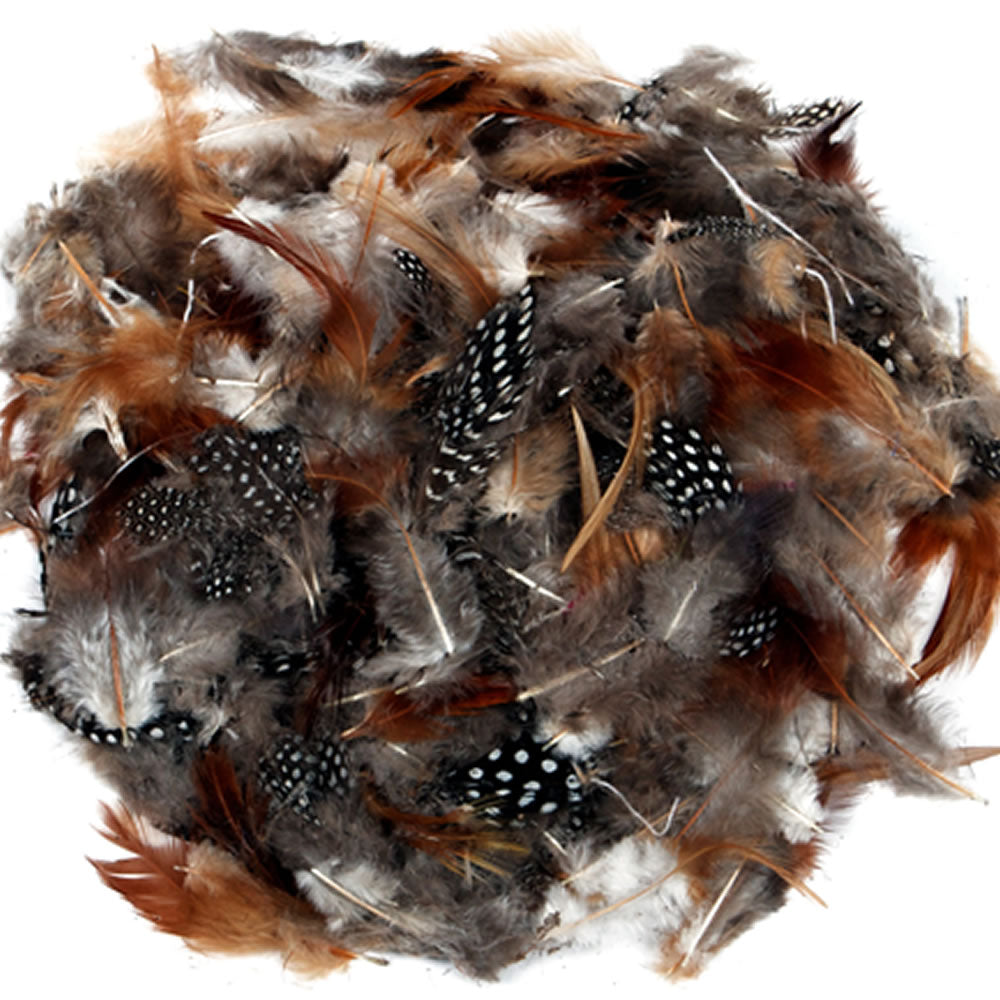 Natural Craft Feathers with Spots