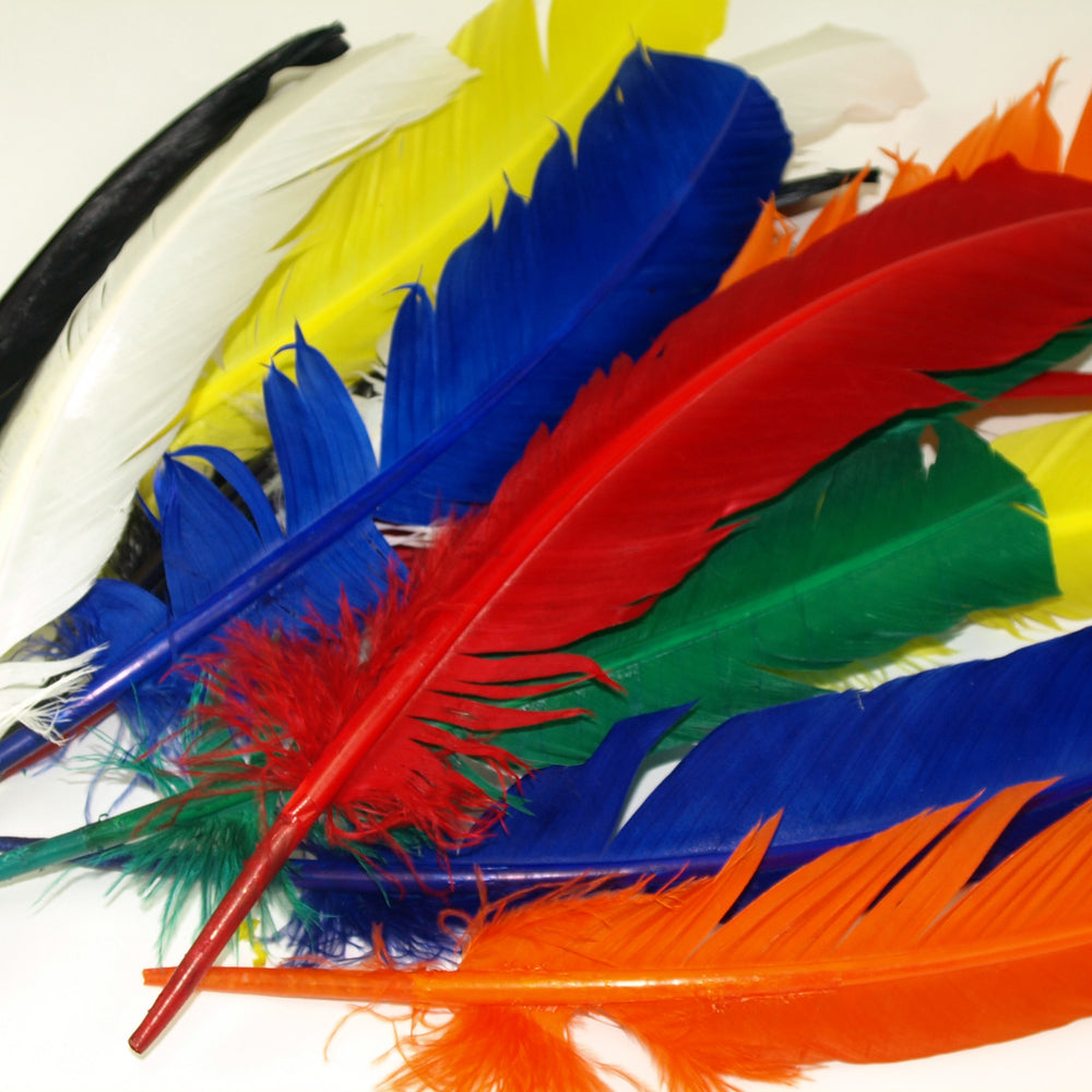 Extra Large Quill Feathers