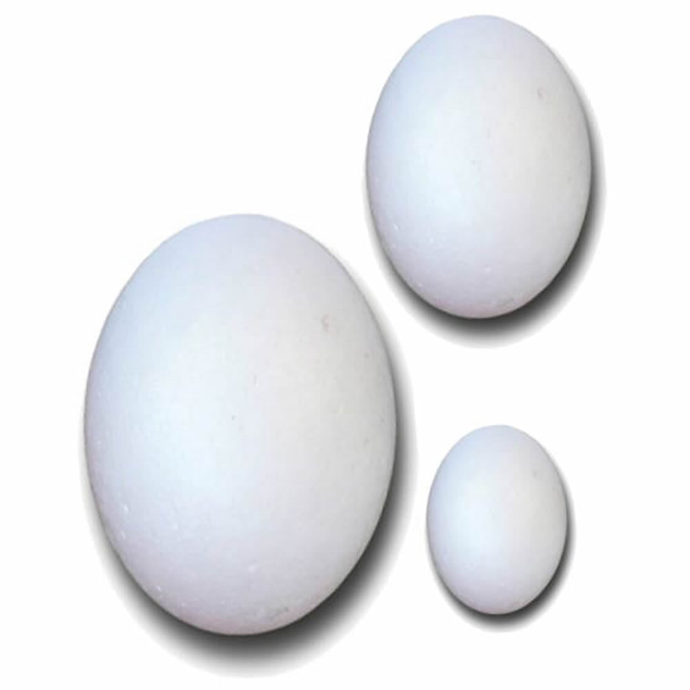 Solid Polystyrene Eggs