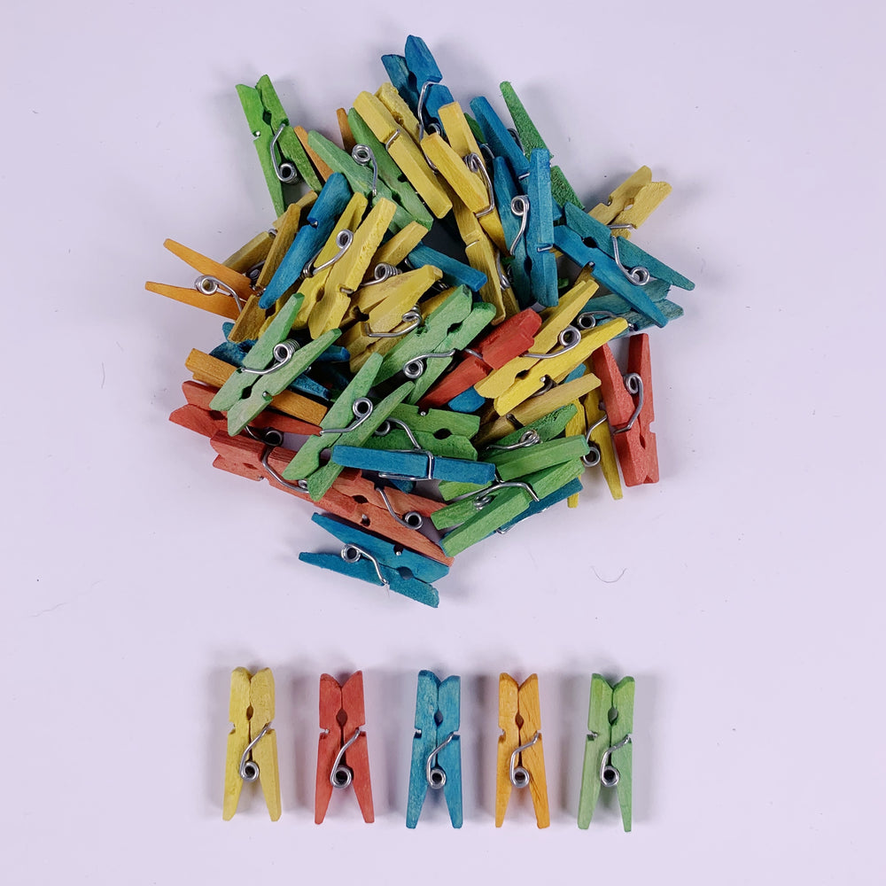 Mini Pegs Assorted Colours  100