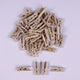 Mini Clothes Pegs 100