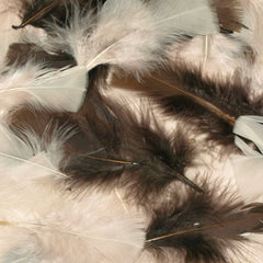 Natural Colour Feathers