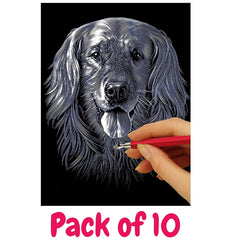 Silver Scraperfoil 229mm x 152mm, Pack of 10