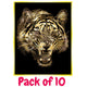 Gold Scraperfoil 152mm x 101mm, Pack of 10