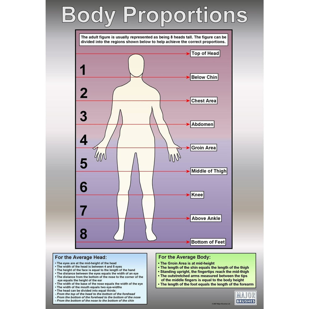 Wall Chart of Body Proportions