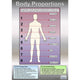 body wall chart