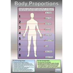 Wall Chart of Body Proportions