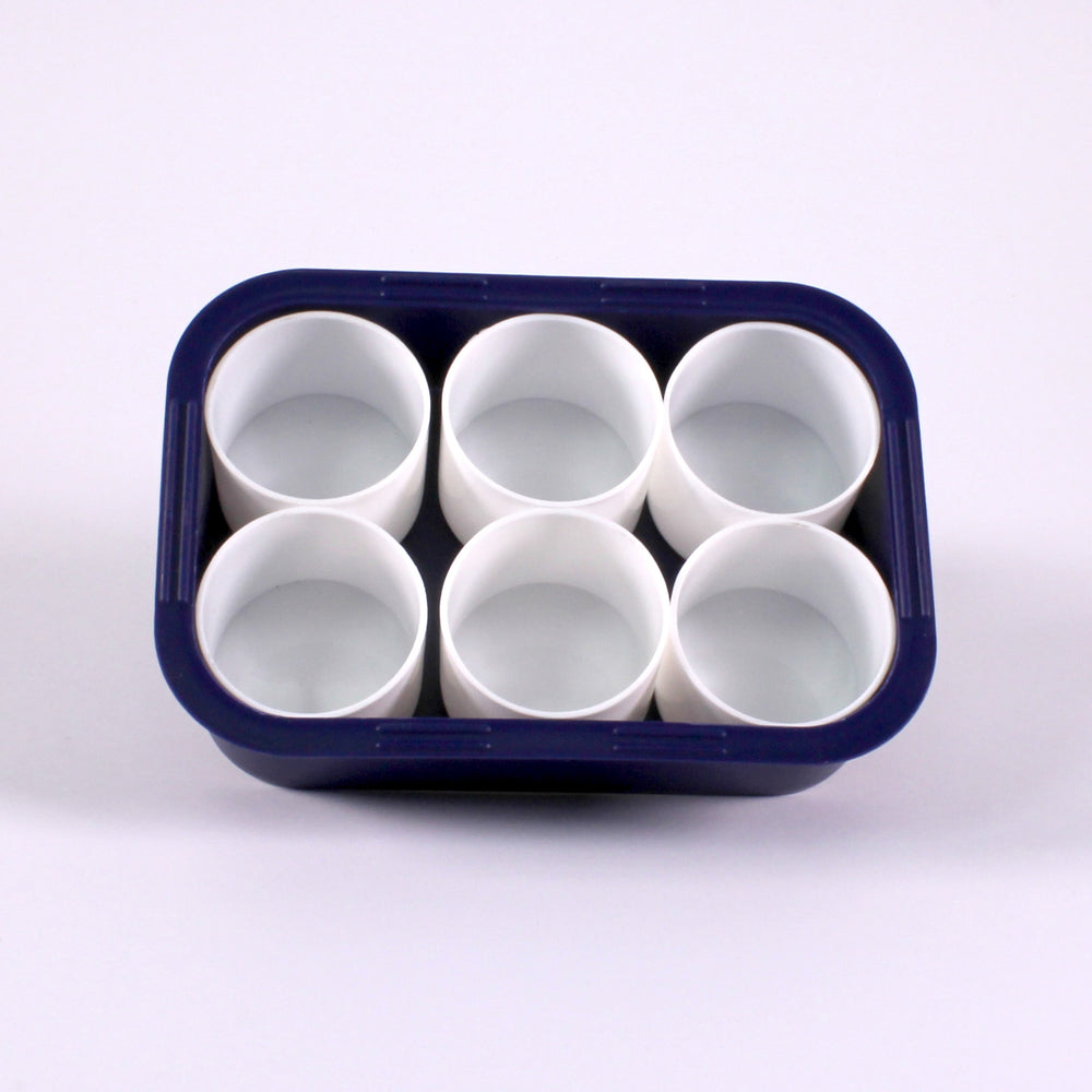 Bright Colour Plastic Tray with 6 White Paint Pots
