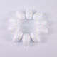  Polystyrene Eggs