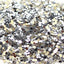 High Quality Silver Craft Glitter